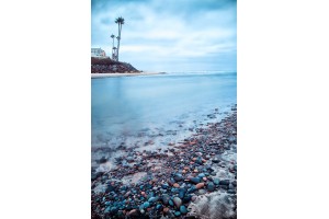 Del Mar Dog Beach III